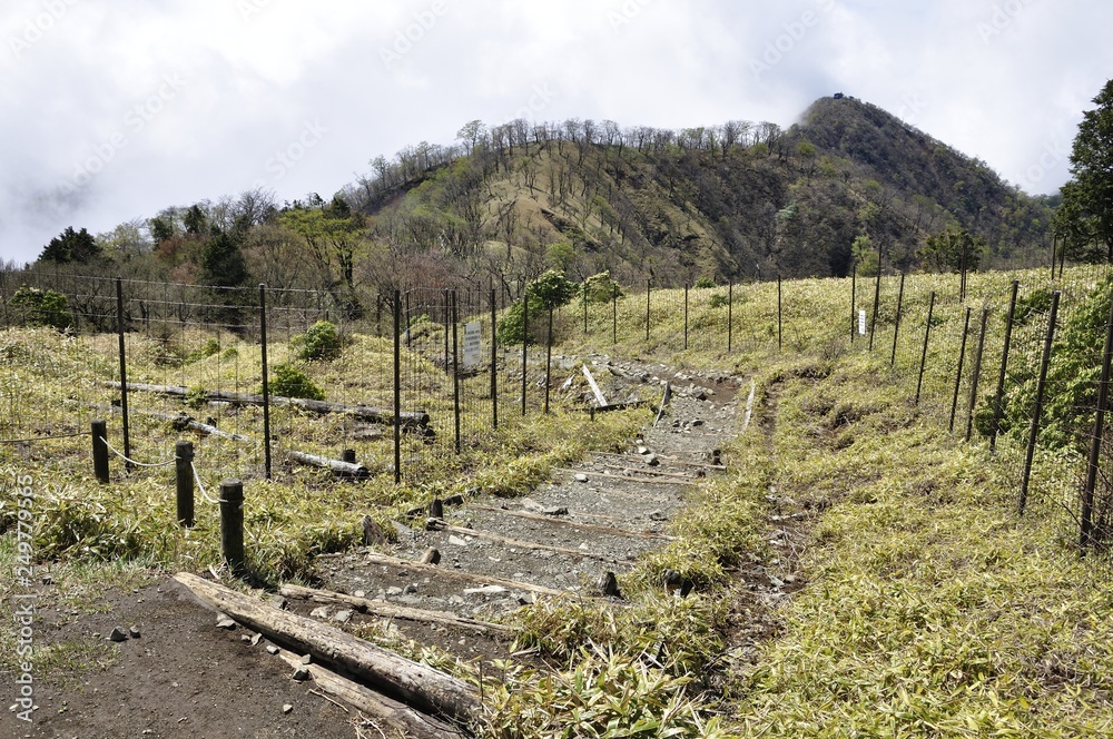 丹沢主脈の縦走路