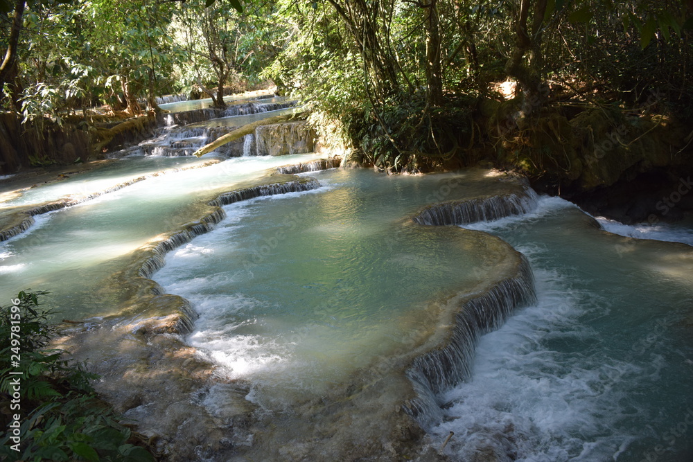 Obraz premium Water Cascading In The Forest