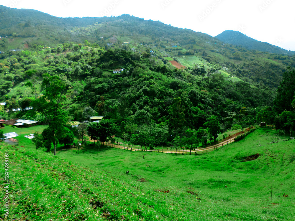 Paisaje colombiano