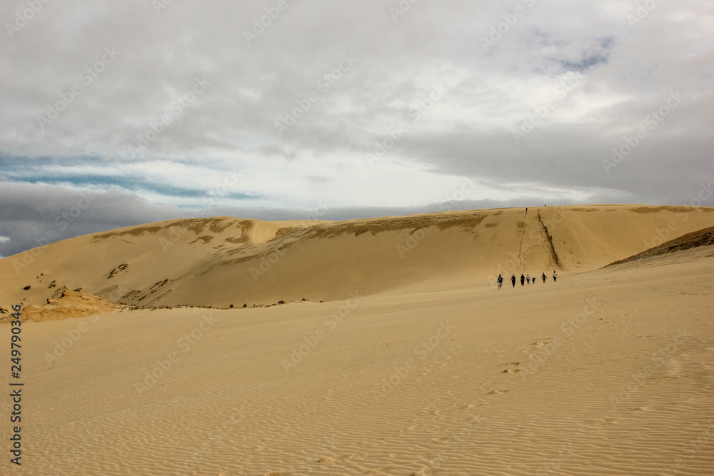 sand dunes on the coast of cape reinga, people walking back after doing sand surfing in New Zealand. TePaki gaint sand dunes.