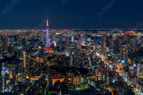 Tokyo Tower and cityscape