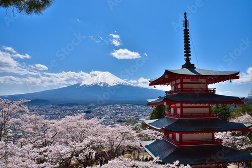 山梨 新倉山浅間公園の桜と富士山と五重塔