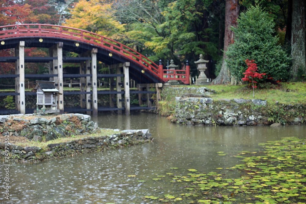 秋の丹生都比売神社