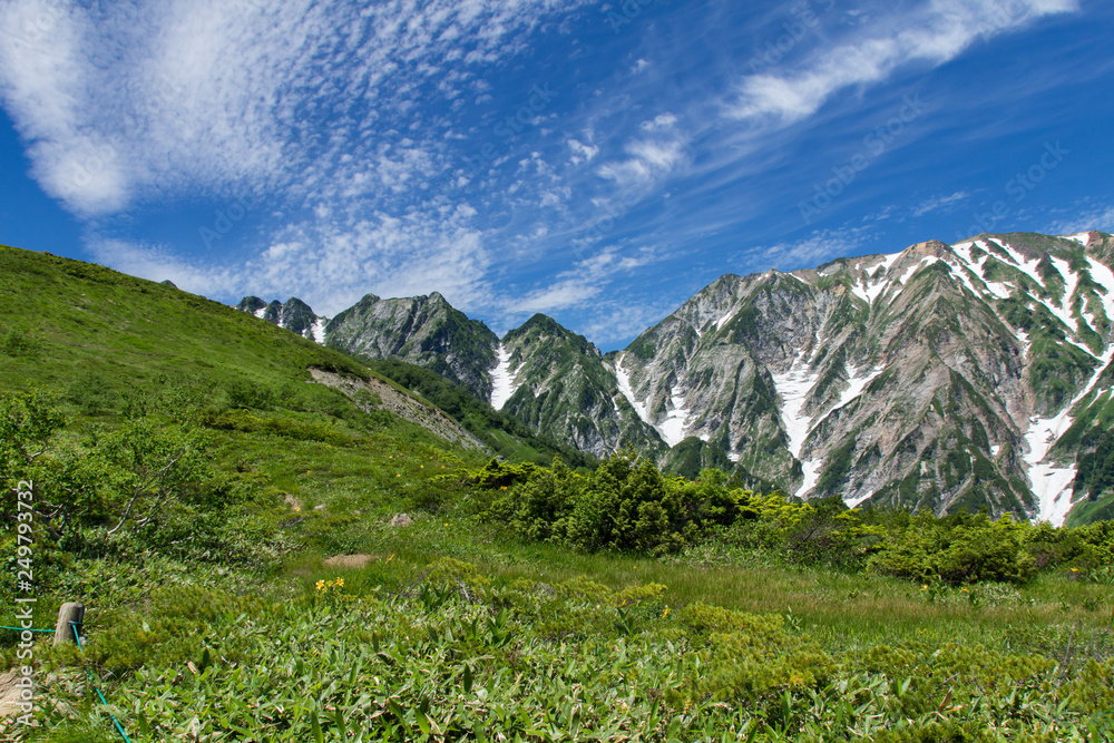 Obraz premium 夏の白馬八方尾根／不帰ノ嶮／長野県白馬村