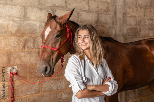 Fototapeta Naklejka Na Ścianę i Meble -  Veterinarian examining horse.