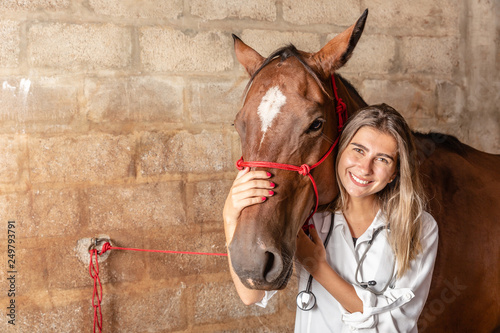 Veterinarian examining horse. photo