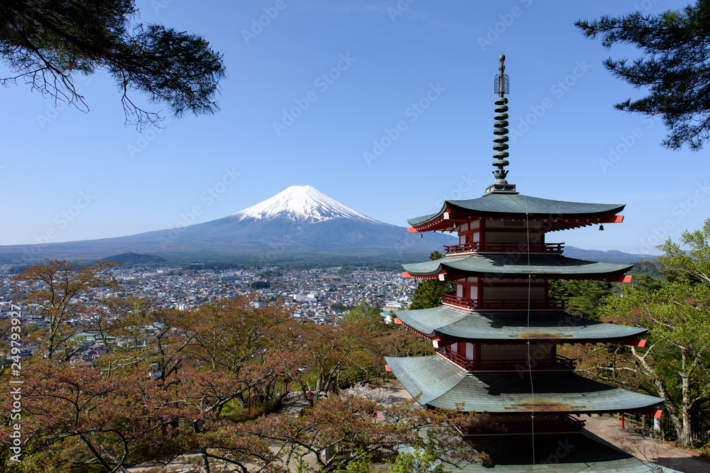 写真素材：新倉山浅間神社、富士山、日本