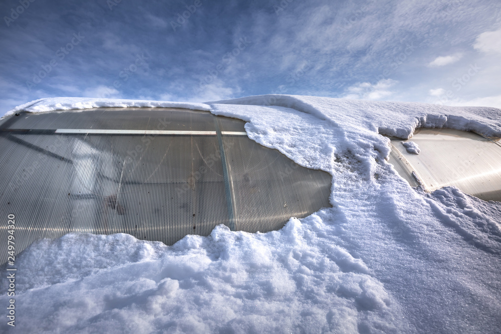 Polycarbonate greenhouse in winter. Western Siberia Polycarbonate greenhouse in winter. Western Siberia