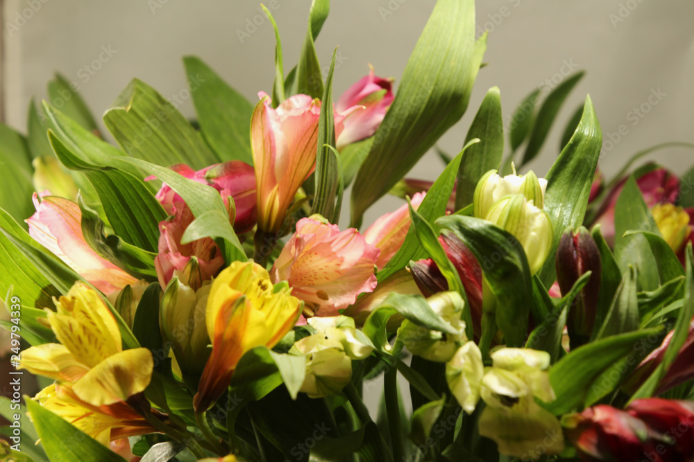 Peruvian Lily Bouquet Peruvian Lily Bouquet