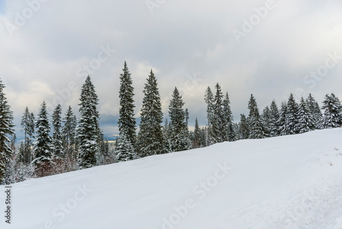 Winter landscape © somra