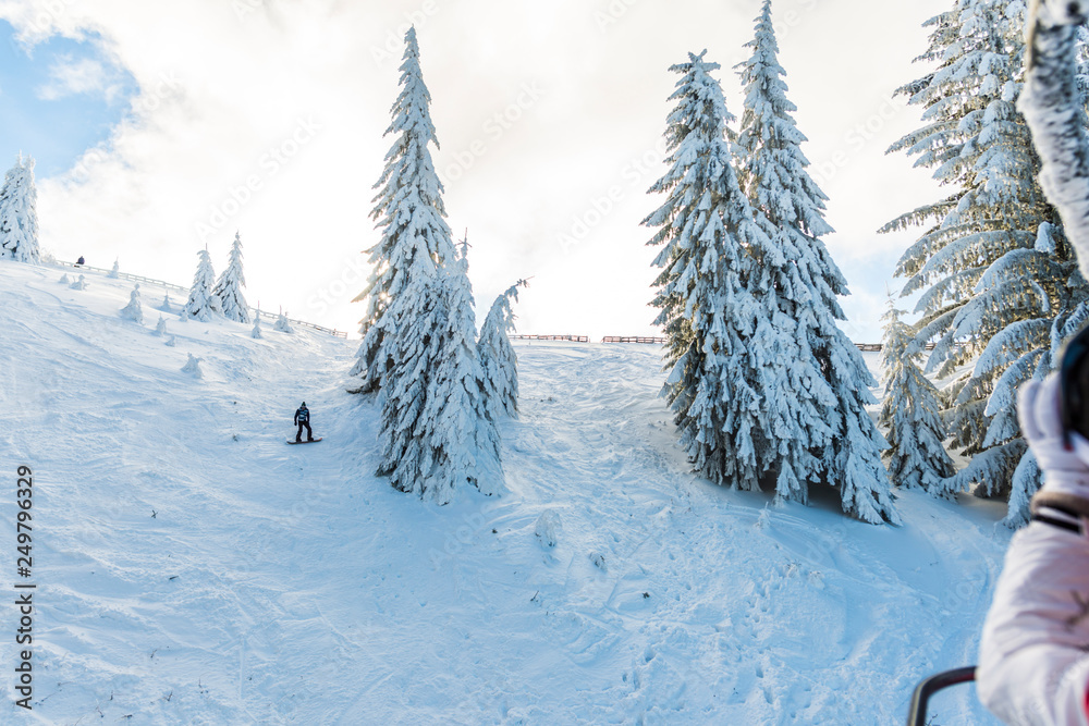 Obraz premium Winter landscape