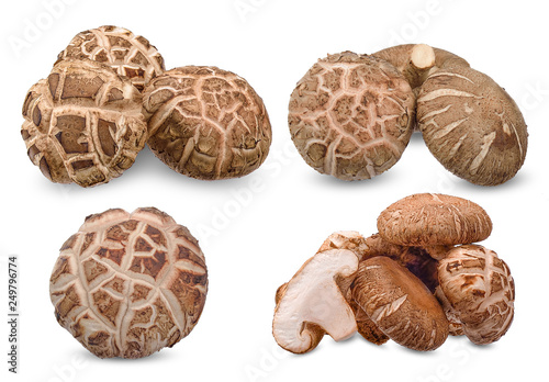 Shiitake mushroom isolated on white clipping path