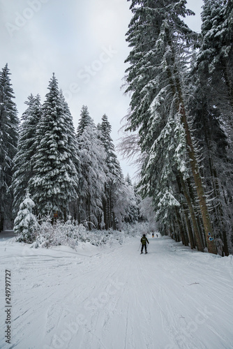 winter landscape in Predeal, Romania