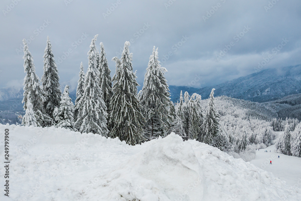 winter landscape in Predeal, Romania