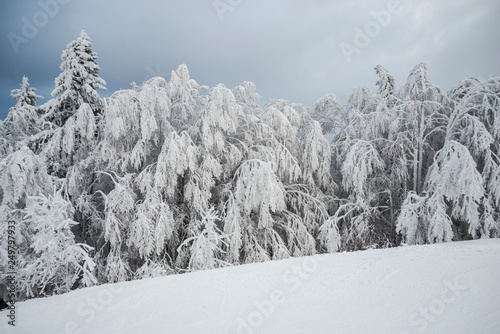 winter landscape in Predeal, Romania © somra