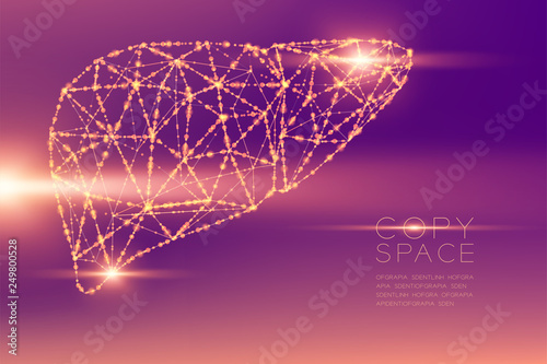 Liver shape futuristic pattern wireframe polygon bokeh light structure and lens flare, Medical Science Organ concept illustration isolated on purple gradients background with copy space