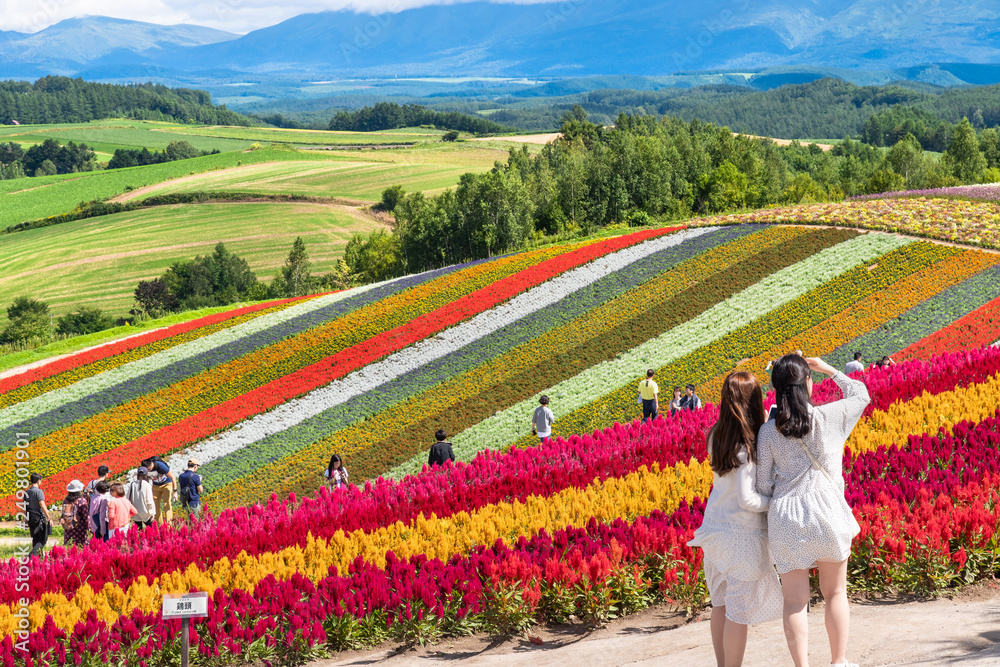 広大な花畑 北海道 美瑛町の観光イメージ Stock 写真 Adobe Stock