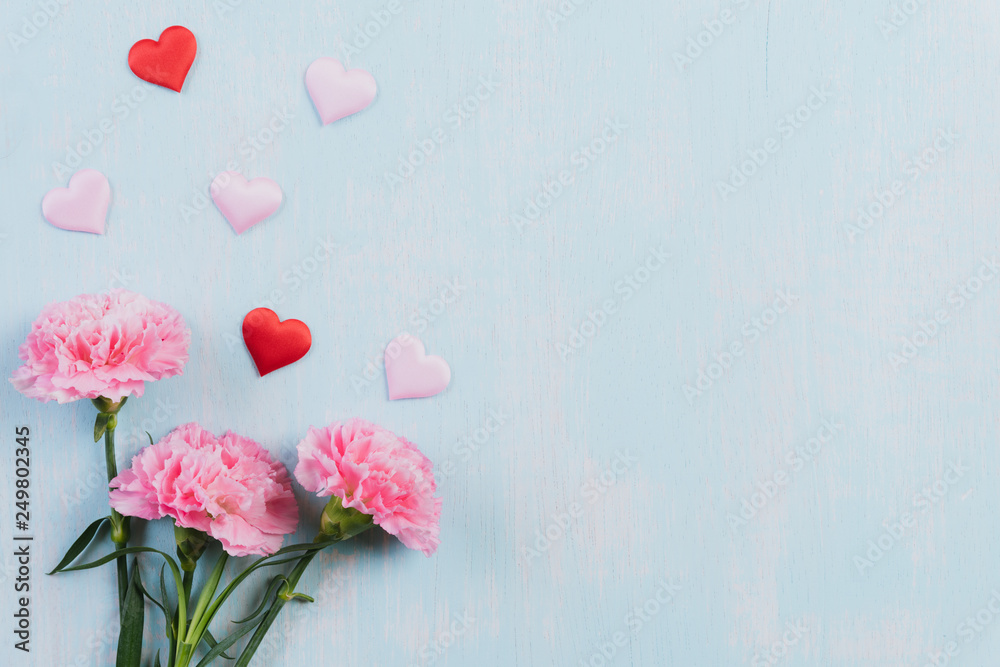 Valentines day and love concept. Pink carnation flower with red heart on blue pastel background.