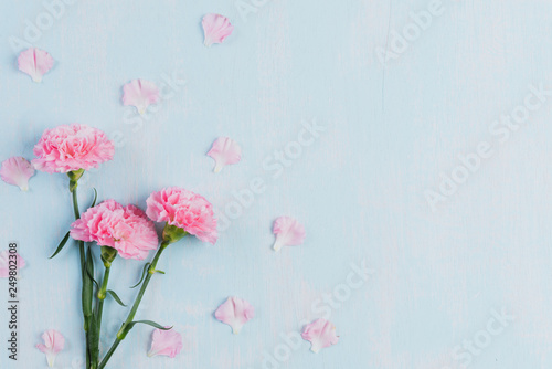 Valentines day and love concept. Pink carnation flower with red heart on blue pastel background.