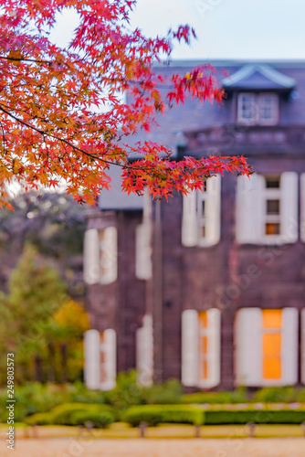 Sunset on Tokyo Metropolitan Park KyuFurukawa's old western-style mansion at red maple momiji leaves season in autumn. photo