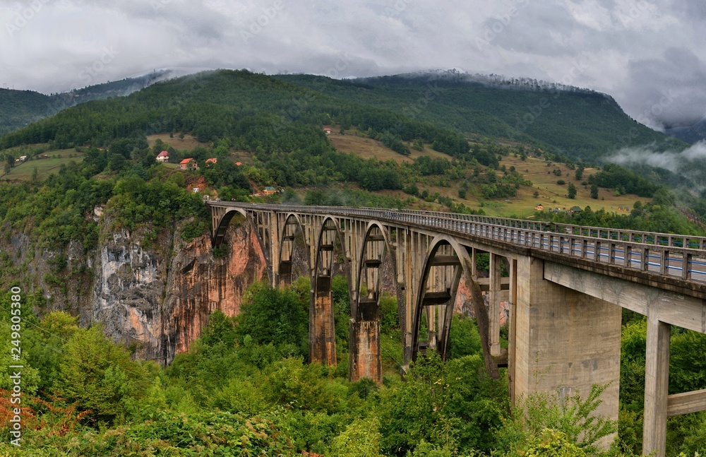 mountain valley, forest, Tara river canyon in Durmitor National Park, Montenegro