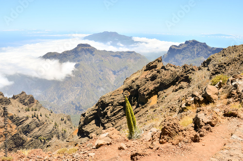 Valley in the Canary Islands photo