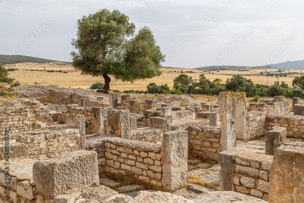 Ruins of the Roman and Byzantine town Thignica (modern Ain Tounga), Tunisia