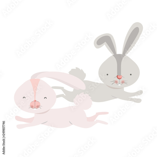 cute rabbits isolated icon