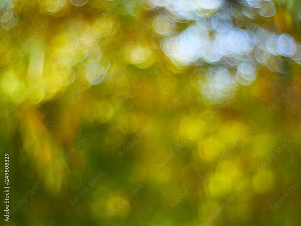 Obraz premium nature bokeh background,blurred sunlight