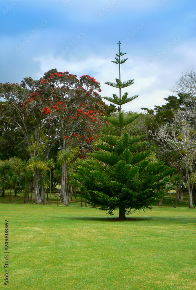 Fototapeta premium Park and gardens at Waitangi Treaty Grounds historic and cultural site, Bay of Islands, Northland, New Zealand