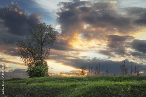 Fototapeta Naklejka Na Ścianę i Meble -  beautiful sunset in the field in spring