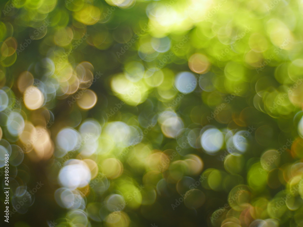 abstract green background with bokeh abstract green background with bokeh