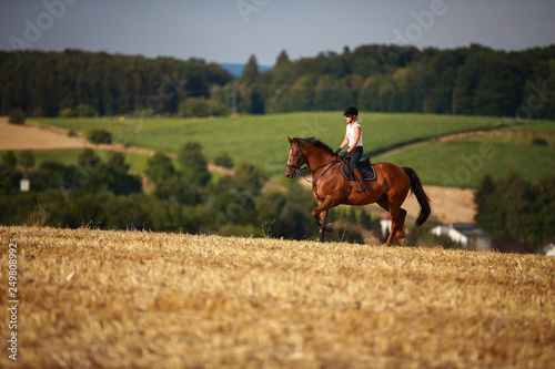 Horsewoman with horse galloping on a stubble field in summer photographed from the front from some distance..