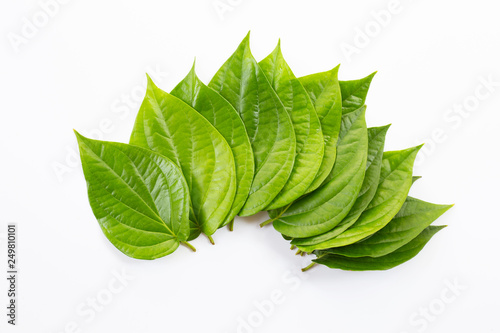 Green betel leaves, Fresh piper betle on white