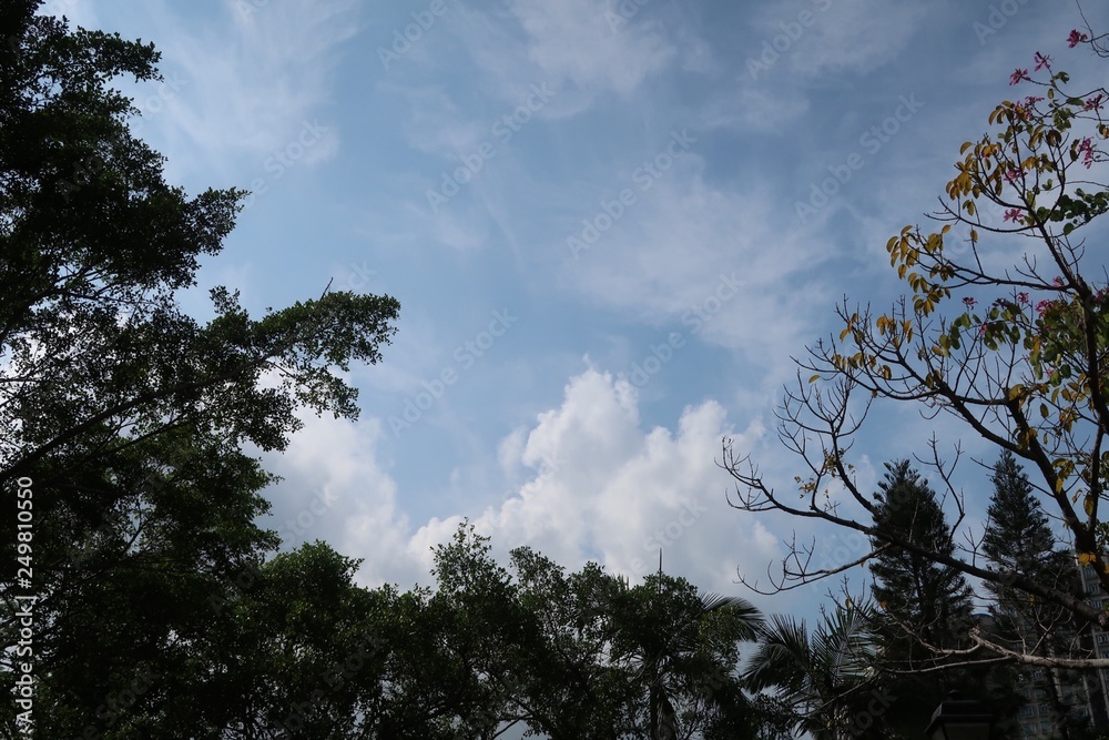 Hong Kong Sky 