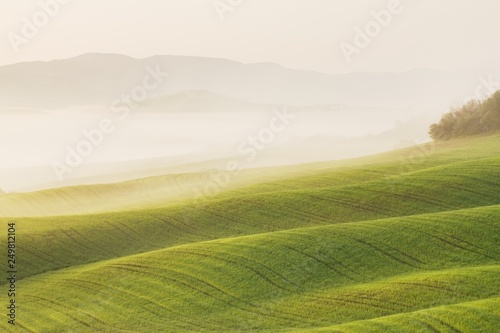 Tuscany landscape at sunrise. Typical for the region tuscan farmhouse, hills, vineyard. Italy Fresh Green tuscany landscape in spring time. Beautiful foggy landscape concept