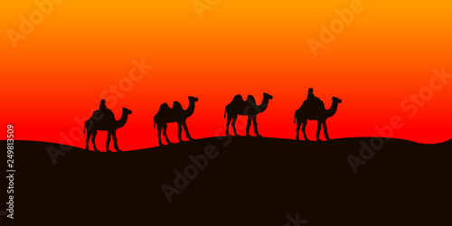 Camel caravan going in the Sahara desert. Vector illustration.