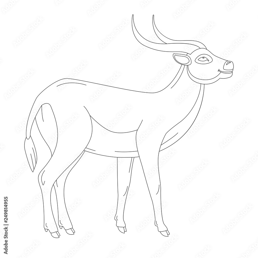 antelope, vector illustration ,  profile view,
