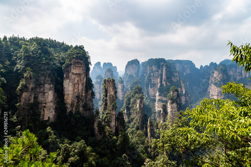 The panorama of the so called    black forest    in Yuanjiajie area in the Wulingyuan National Park  Zhangjiajie  Hunan  China. Wulingyuan National park was the inspiration for the movie Avatar