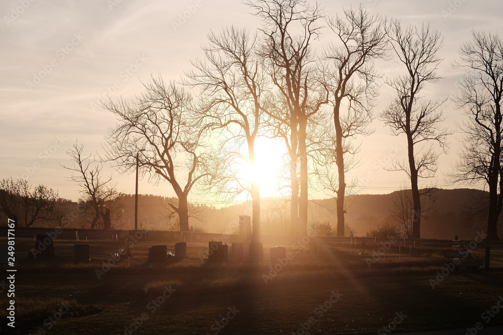 Sunset at graveyard