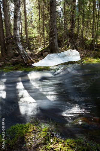 Flooding river and piece of ice in forest