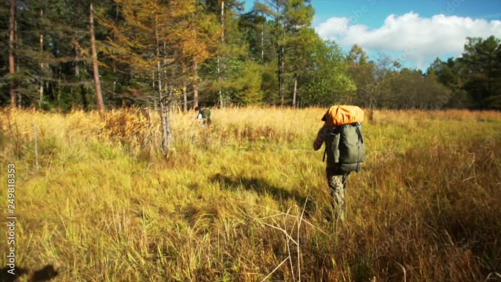 Tourists walk through high grass on the sunny woodside and enter the forest. Sikhote-Alin Nature biosphere Reserve for endangered Siberian tiger founded in 1935. Russia Tourists walk through high grass on the sunny woodside and enter the forest. Sikhote-Alin Nature biosphere Reserve for endangered Siberian tiger founded in 1935. Russia