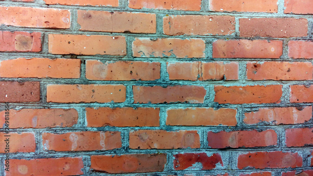 Fototapeta premium Wall