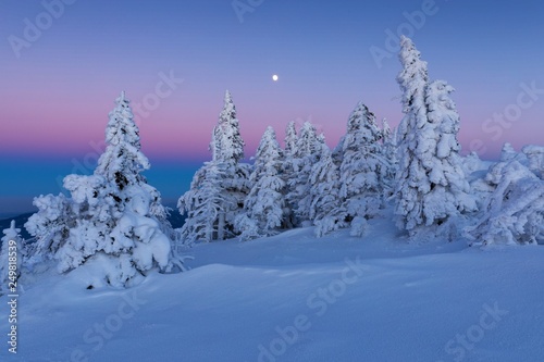 Fantastic evening winter landscape. Dramatic overcast sky. Beautiful mountain winter landscape with a frozen trees and the orange sky. Happy New Year! Christmas winter landscape background.