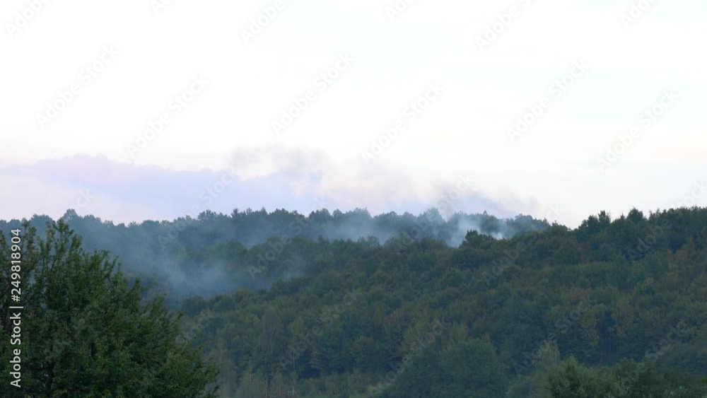 Fire in Forest, smoke large scale destroys nature - (4K) Fire in Forest, smoke large scale destroys nature - (4K)