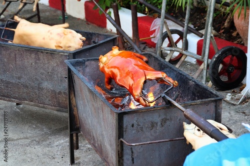barbecued suckling pig