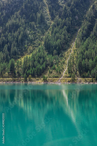 Part of a mountain lake with green clear water. The straight shoreline cuts the picture. Sunny weather with green firs and some water reflections. Neves Reservoir Italy