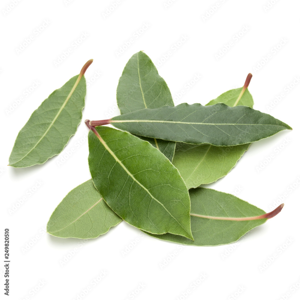 Aromatic bay leaves Aromatic bay leaves