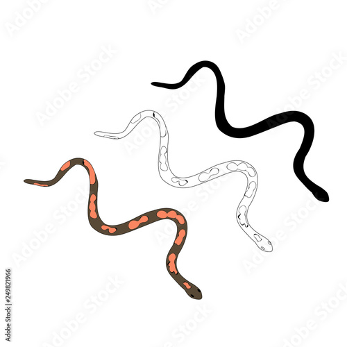 vector isolated snake crawling on a white background