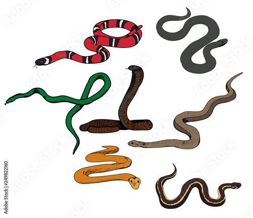  set of snake crawling